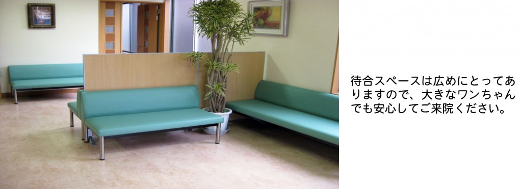 待合スペースは広めにとってありますので、大きなワンちゃんでも安心してご来院ください。