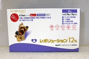 レボリューション